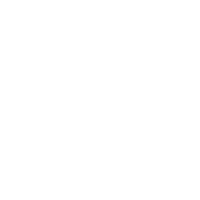 Forza icon