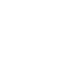 NHL 20 icon