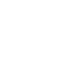 Borderlands icon